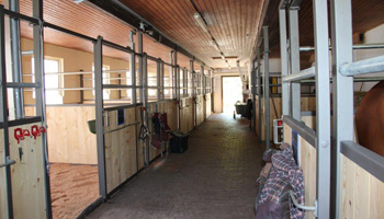 Pferdebox mieten - Pferdepension Stall Eugster - Abtwil SG